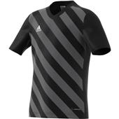 Adidas Entrada 22 Graphic Youth Jersey