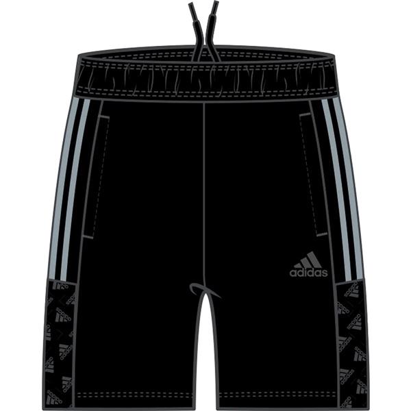 Adidas on sale tricot shorts