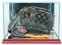 Perfect Case Rectangle Baseball Glove Display Case