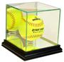 Perfect Cases Softball Display Case