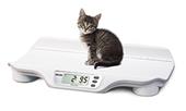 Rice Lake VS-11 Dual Range Veterinary Scale
