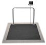 Rice Lake VS-37 In-Floor Veterinary Scale Sheep, Goats Large Animals