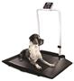 Rice Lake VS-35 Dual-ramp Veterinary Pets Scale With Handrail Scale
