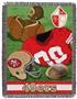 Northwest NFL San Francisco 49ers Vintage Tapestry Throw