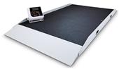 Rice Lake 350-10-8S Digital Stretcher Scale