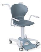 Rice Lake 550-10-1 Digital Chair Scale