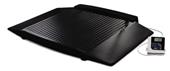 Rice Lake 350-10-8 Dual-ramp Wheelchair Platform Scale