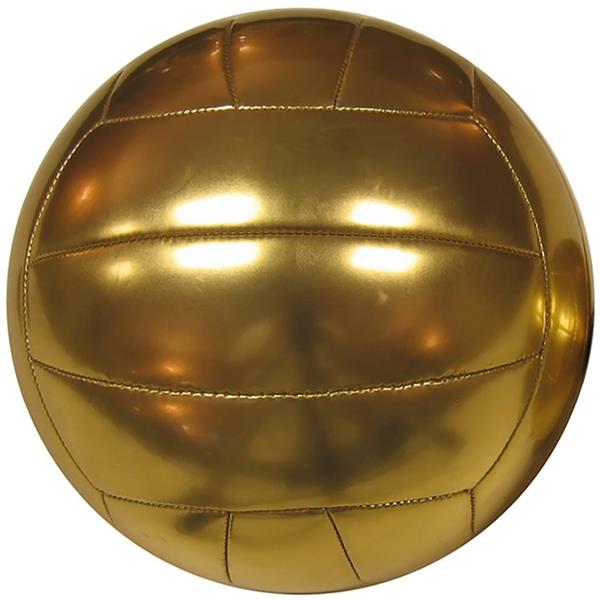 Baden Mini 5.5"Promotional Autograph Gold Volleyball Volleyball