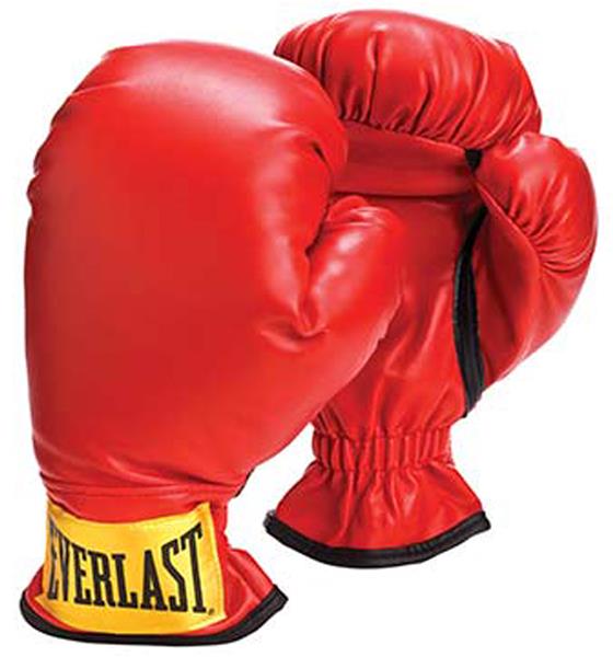 Everlast Youth Boxing Gloves (Age 12) MMA Equipment and Gear