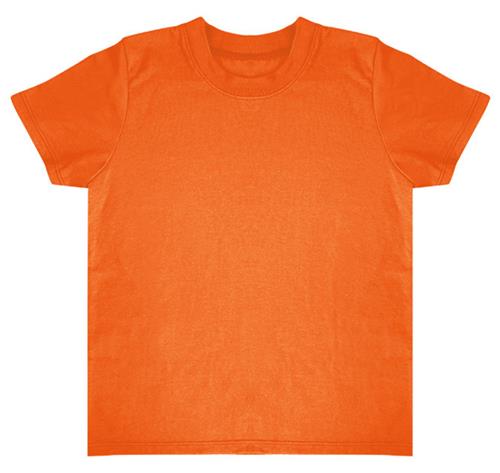 Royal Apparel Infant Rib Tee 2039. Printing is available for this item.