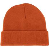 Champro Polar Cuff Beanie HBE1