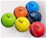 Total Control Leather Weighted Training Ball Set (6 Pack)