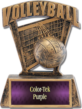 Hasty Awards ProSport 6" Volleyball Resin Trophies. Personalization is available on this item.