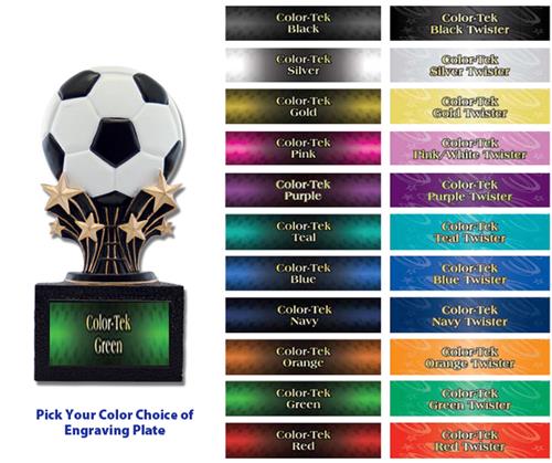 Shooting Star 6" Soccerball Resin Trophies. Personalization is available on this item.