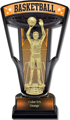 Hasty Awards 9.25" Stadium Back Basketball Trophy. Personalization is available on this item.
