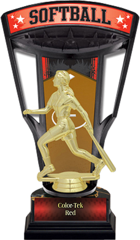 Hasty Home Run 9.25" Stadium Back Softball Trophy. Personalization is available on this item.