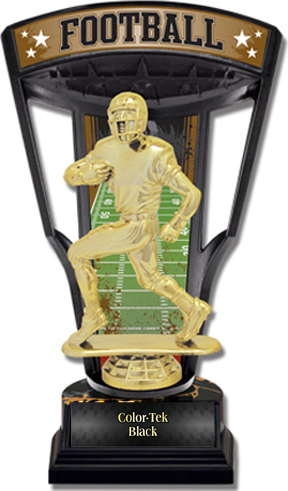 Hasty Awards 9.25" Stadium Back Football Trophies. Personalization is available on this item.