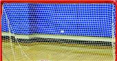 Replacement Net For Folding Multi-Purpose Goal