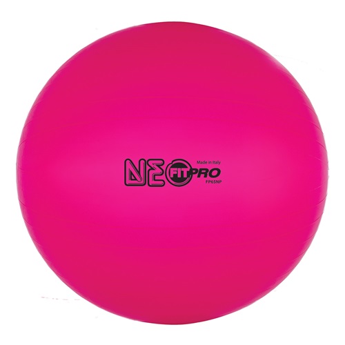 Champion Fitpro Training & Exercise 25.5" Ball