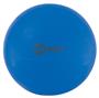 Champion Fitpro Ball With Legs 21.5