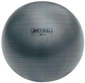 Champion 53cm FITPRO BRT Training & Exercise Ball BRT53