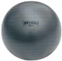 Champion 53cm FITPRO BRT Training & Exercise Ball BRT53