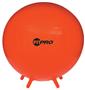 Champion Fitpro Ball With Legs 29.5" Exercise Ball