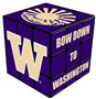 NCAA Washington Huskies Medium Swizzle Cube UW1020
