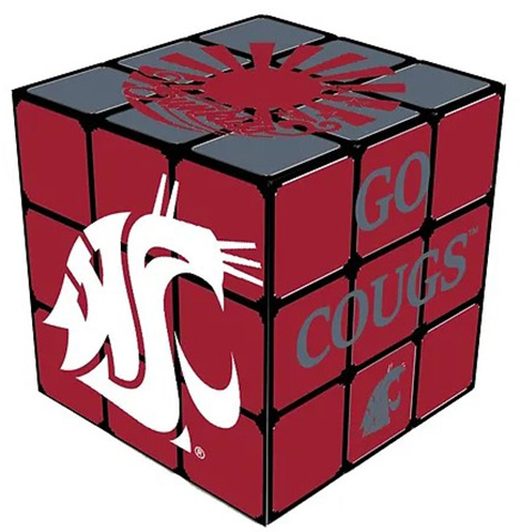 NCAA Washington State Cougars Medium Swizzle Cube WAZ1020