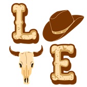 Epic Ladies Western LOVE Country Cowboy V-Neck Graphic T-Shirts