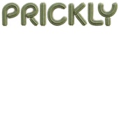 Epic Ladies Prickly Cactus Succulant Don't Touch Me V-Neck Graphic T-Shirts