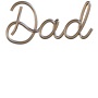 Epic Adult/Youth DAD Metallic Wire Paperclip Font Cotton Graphic T-Shirts