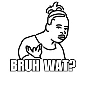 Epic Ladies Bruh What Meme Girl Wat? V-Neck Graphic T-Shirts