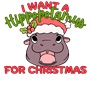 Epic Ladies I Want A Hippo for Christmas Moo Deng Long Sleeve Graphic T-Shirts