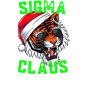 Epic Adult/Youth Sigma Claus Christmas Tiger Skibidi Rizz Cotton Graphic T-Shirts