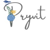 Epic Ladies Pryvit Ukraine Greet Local Flower Bird V-Neck Graphic T-Shirts