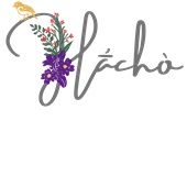 Epic Ladies Hacho Kiowa Greeting Native Flower Bird V-Neck Graphic T-Shirts