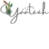 Epic Ladies Yaateeh Navajo Greet Native Flower Bird V-Neck Graphic T-Shirts