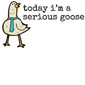 Epic Adult/Youth Today I'm A Serious Goose Meme Duck Tie Cotton Graphic T-Shirts