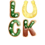 Epic LUCK Happy Saint Patrick's Day Gold Long Sleeve Cotton Graphic T-Shirts
