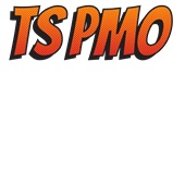 Epic Ladies TS PMO internet text app slang V-Neck Graphic T-Shirts