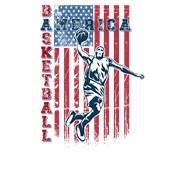 Epic Ladies America Basketball Classic Vintage V-Neck Graphic T-Shirts