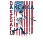 Epic Ladies America Baseball Classic Vintage V-Neck Graphic T-Shirts
