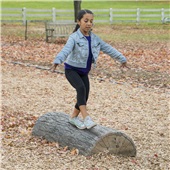 NatureROCKS 4' or 6' Half Log Balance Beam Parks Playground Structure