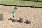 NatureROCKS Tree Stumps Set of 3 (Ages 2-5) Parks Playground Structure