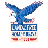 Epic Ladies Land of the Free Home of the Brave Eagle V-Neck Graphic T-Shirts