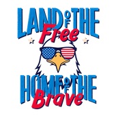 Epic Ladies Land of Free Home of Brave USA Eagle V-Neck Graphic T-Shirts