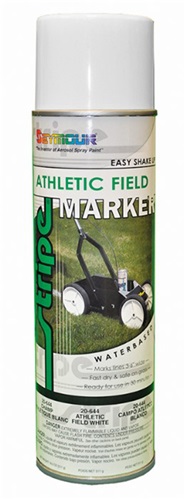 Aerosol Paint 20 oz. Cans (12 Cans)