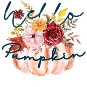 Epic Ladies Hello Pumpkin Autumn Fall Flowers Season V-Neck Graphic T-Shirts