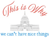 Epic Adult/Youth This Is Why We Can't Have Nice Things Cotton Graphic T-Shirts